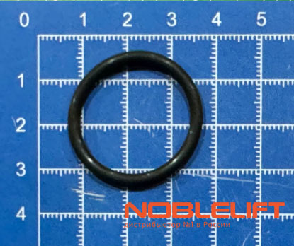 255098524010 Уплотнительное кольцо noblelift