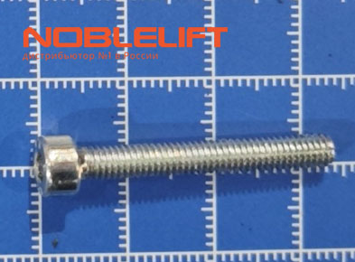 910200200018 Винт М4х30 noblelift