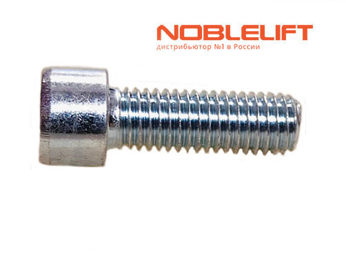 910200200077 Винт noblelift