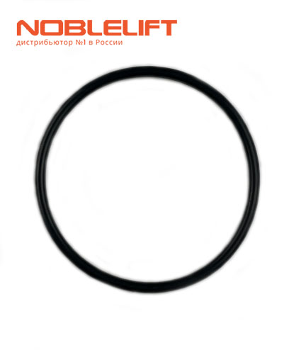 255098524010 Уплотнительное кольцо