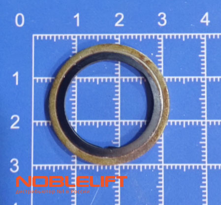 302517020003 Пластина тандема